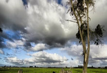 猎鹰队客场告负，士气受挫需调整