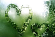 暂时只采集到以上新闻标题，共条