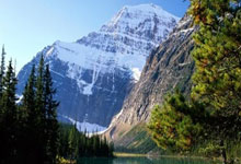 红队奇兵表现出色，助力晋级