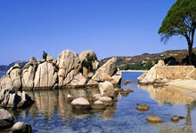 队员团结合作，共同取得重要胜利